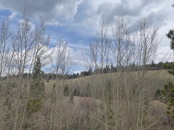 1582 Beaver Creek Rd, Fairplay, CO 80440