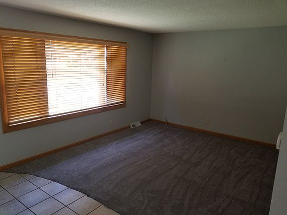 New Carpet