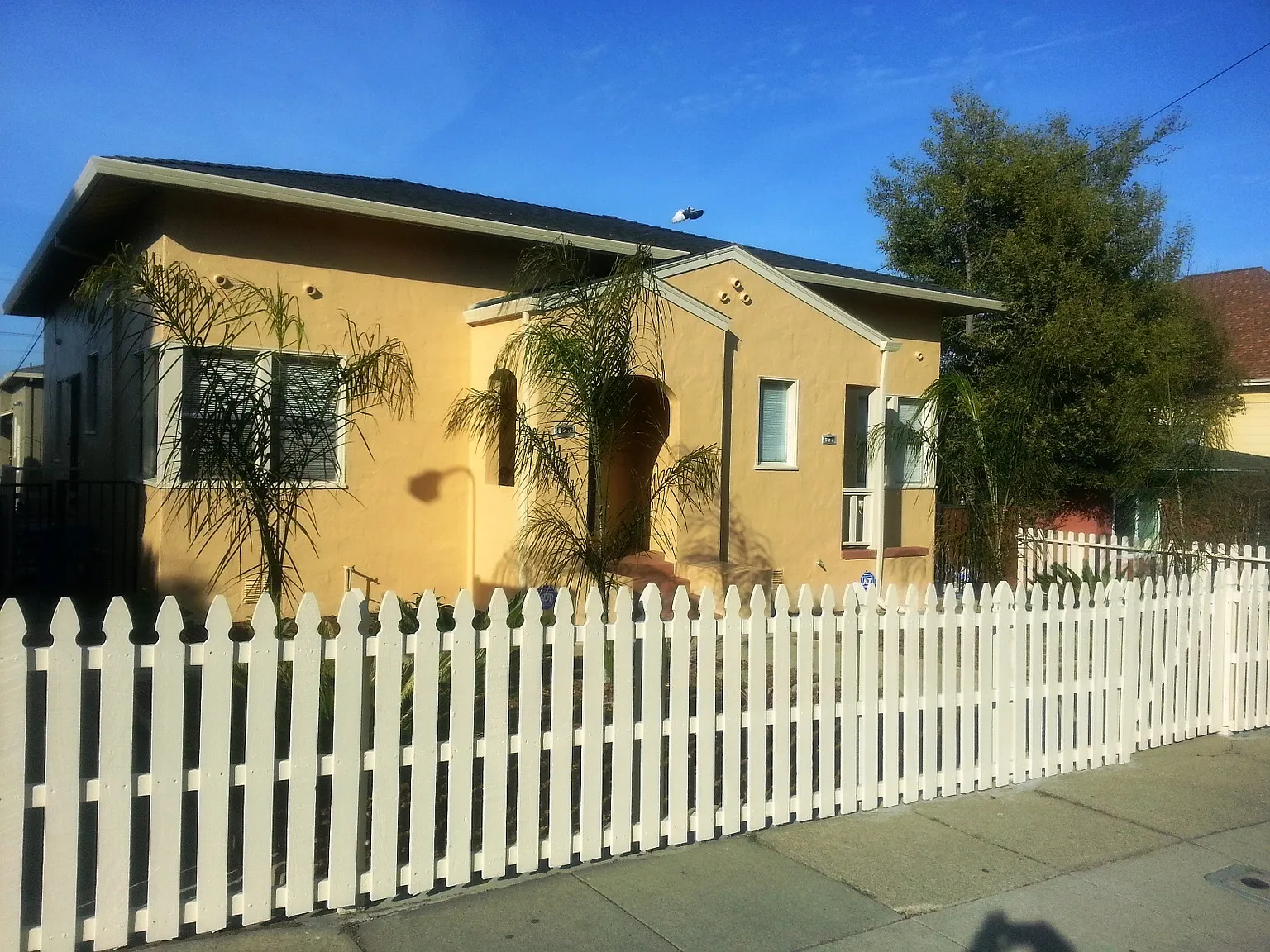 1 bed, 800 sqft, $1,795 — Photo 1