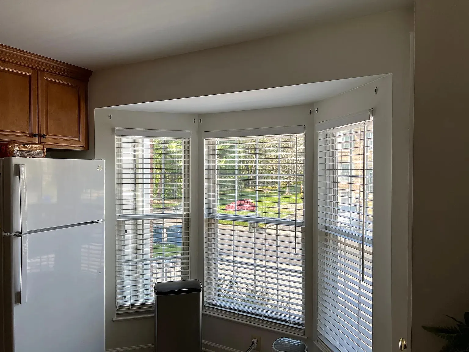 121 Abelia Dr — Photo 2