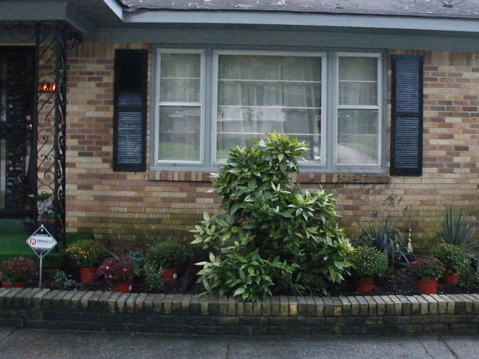 2nd image of 3816 Argonne St