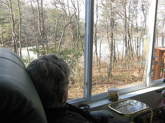View From Sunroom