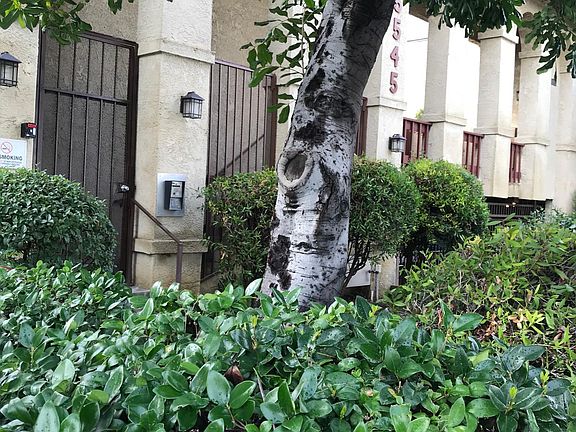 2nd image of 5545 Whitsett Ave APT 4
