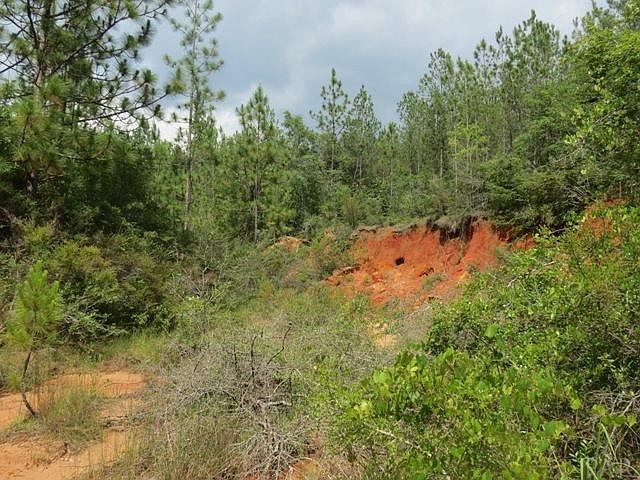 2nd image of 60 Acres Munson Hwy