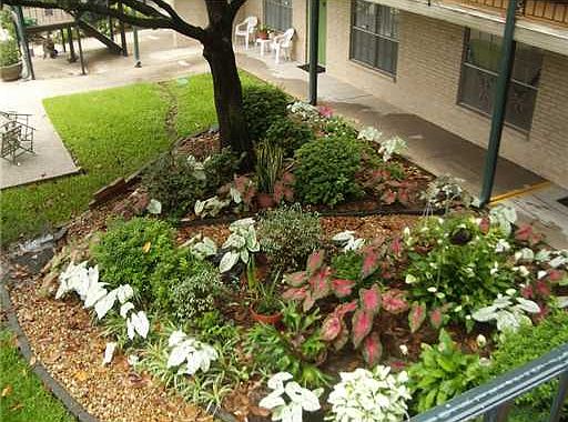 4th image of 2704 Whitney Pl APT 818