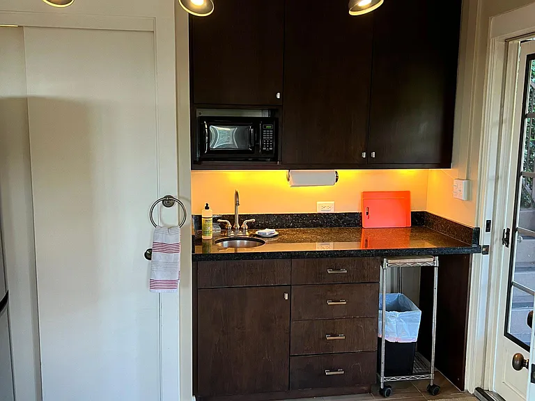 Kitchenette with fridge, microwave, and induction plate.
