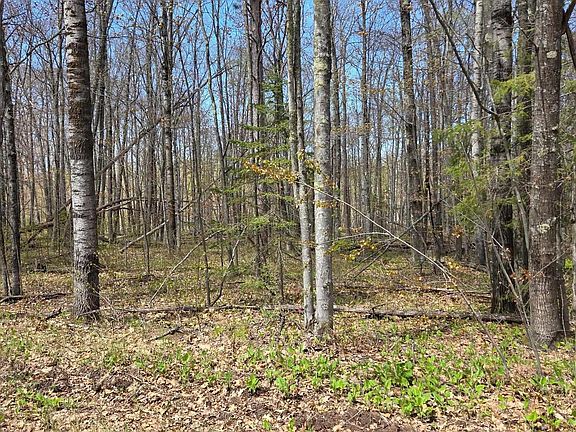 4th image of 17 Short Cut Rd