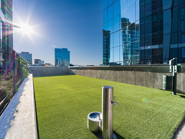 An on-site pet lawn at Modera McGavock, offering a dedicated outdoor space designed for daily walks, playtime, and easy pet care.