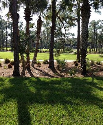 5th image of 764 Eagle Creek Dr Unit 186