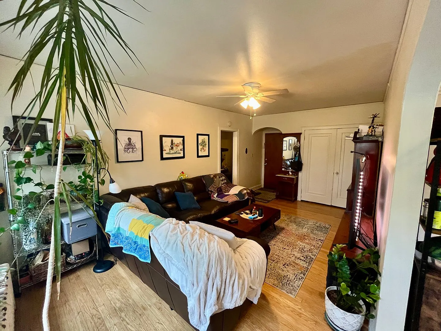 4272 N Wilson Dr — Photo 3
