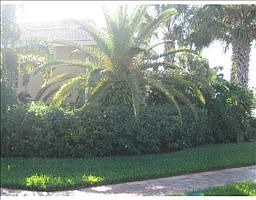 3rd image of 6812 Adriano Dr