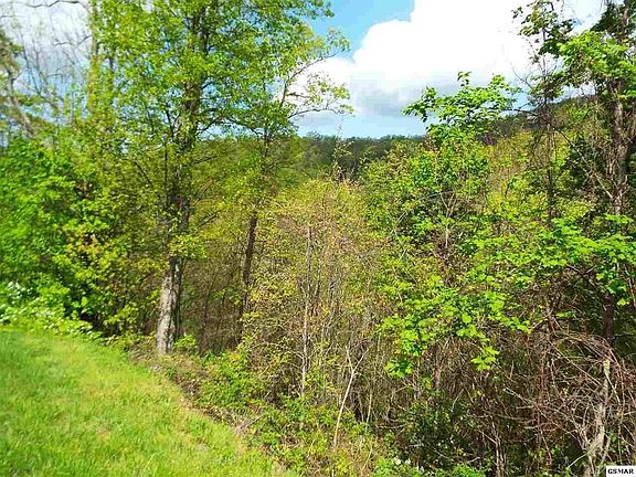 3rd image of 0 E Redtail Rd Lot 63