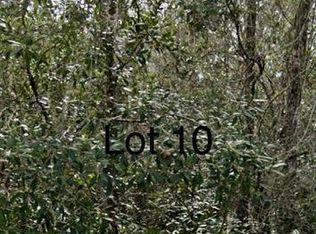 0 Medicine Stone Dr #10, Webster, FL 33597