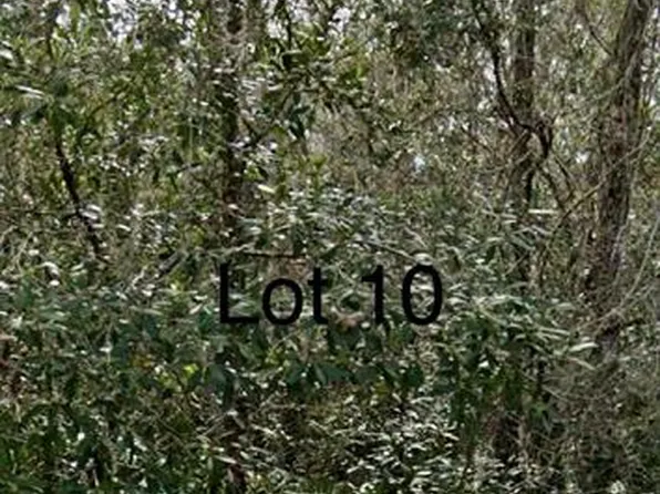 0 Medicine Stone Dr #10, Webster, FL 33597