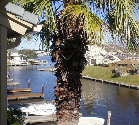 3rd image of 1607 Bayhouse Dr #1607