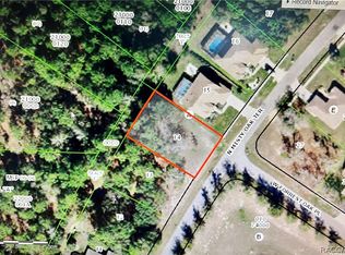 6268 N Misty Oak Ter, Beverly Hills, FL 34465