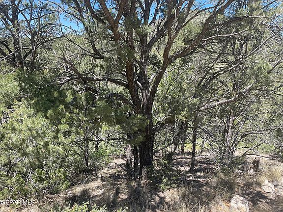 4th image of 60 Canyon Rd