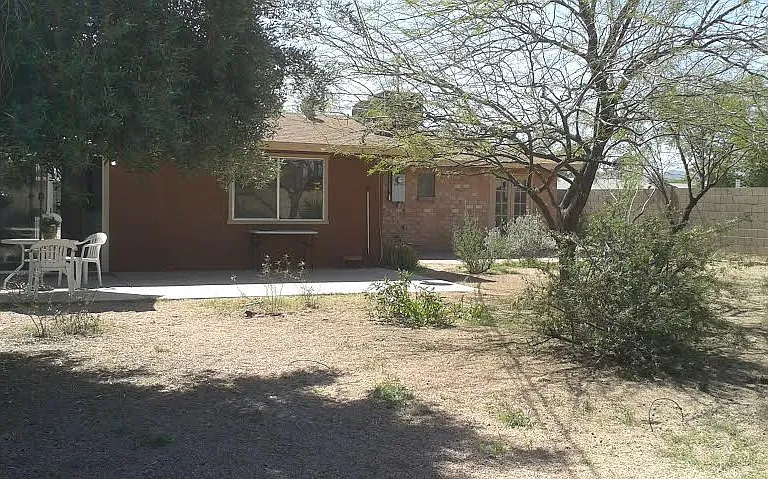 836 West Howe Street - back yard