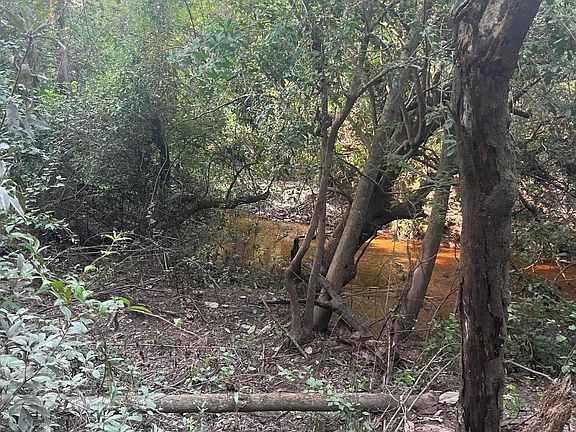 5th image of 0 Crane Creek Rd