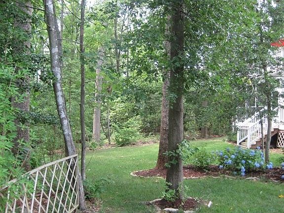 Beautiful Backyard!