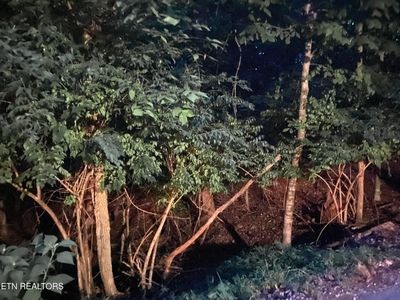 LOT 81 Shamrock Pl, Sevierville, TN, 37876