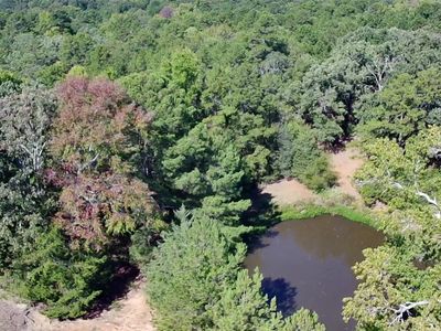0 State Highway 155, Frankston, TX, 75763