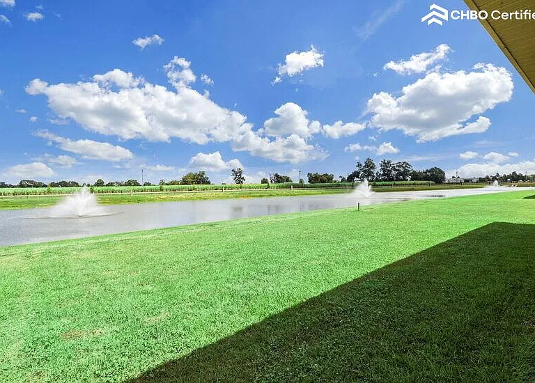 Pond view in backyard