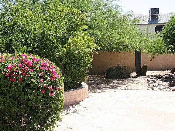 North fence looking east.  Flagstone, Bushes and Tree's.