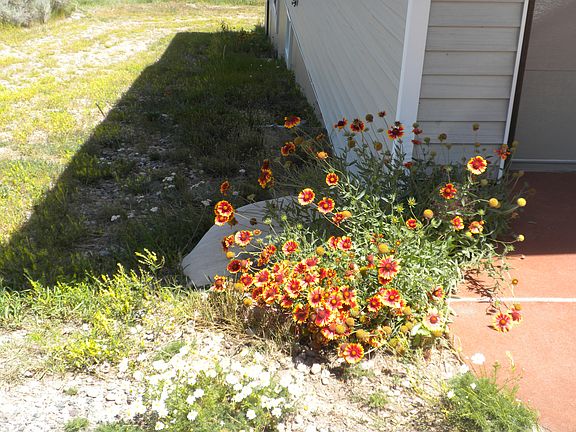 4th image of 15441 Highway 6