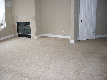 4th image of 1584 Cielo Ct