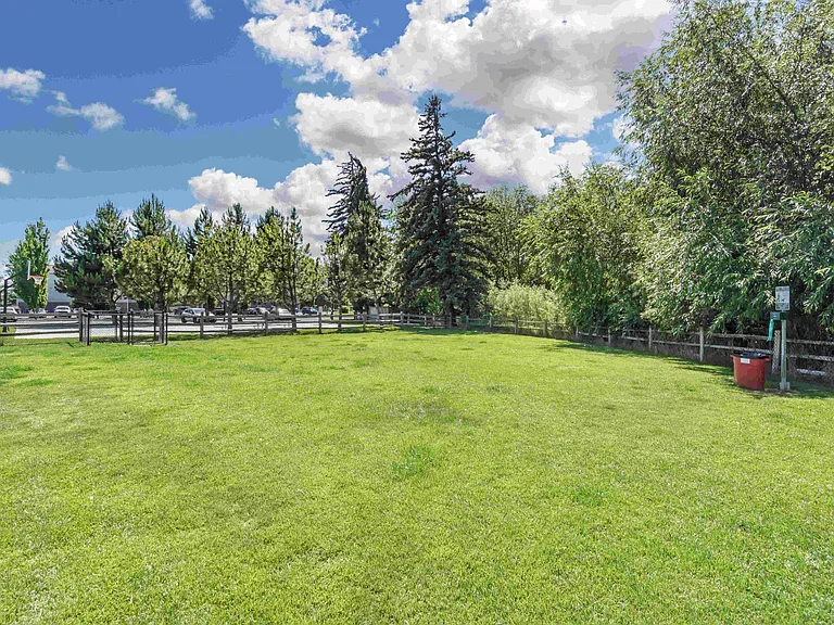 Enclosed Dog Park