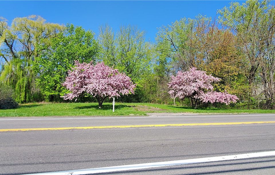 1st image of 6379 State Route 21 #915