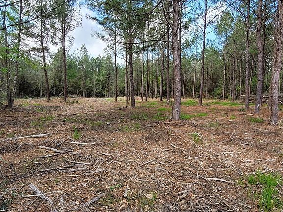 3rd image of LOT 7 Blue Jay Dr