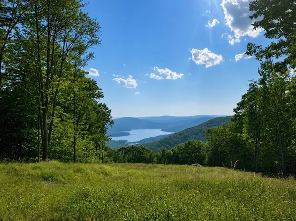 0 Tower Ln Lot 47, Walton, NY 13856