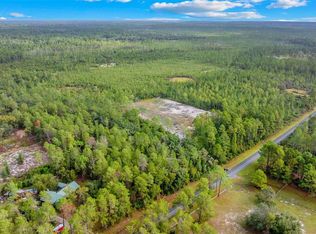 NE 212th Street Rd LOT 1, Fort Mc Coy, FL 32134
