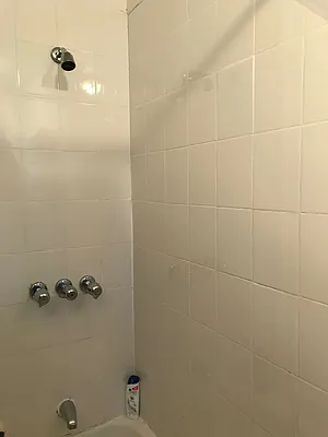 Rented by Elaine Tosti, LREB | media 23