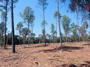 0 Suggs Mill Pond Rd LOT 10, Reynolds, GA 31076