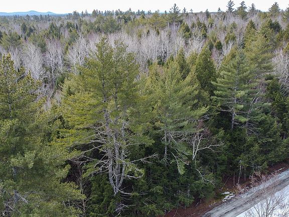 3rd image of M1L58.3 Pickerel Pond Road