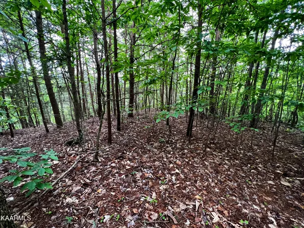 236 Whistle Valley Rd, New Tazewell, TN 37825