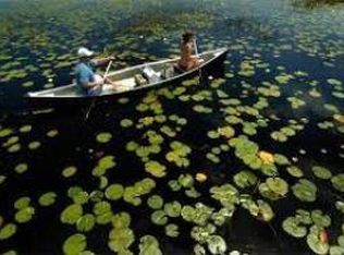 341 NW Springview Loop, Port Saint Lucie, FL 34986