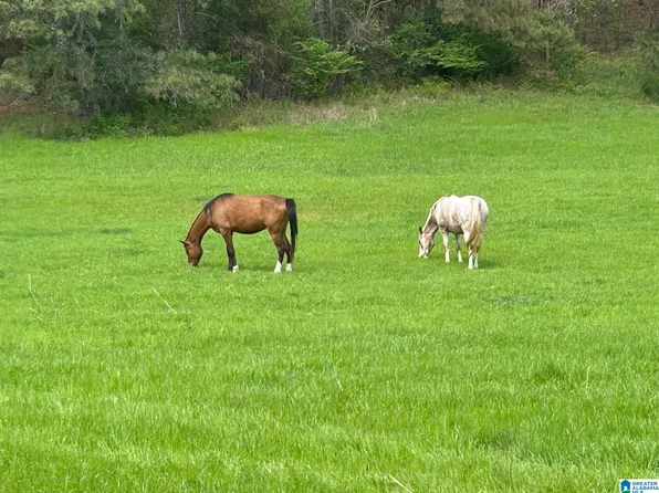 499 Janney Rd, Ohatchee, AL 36271