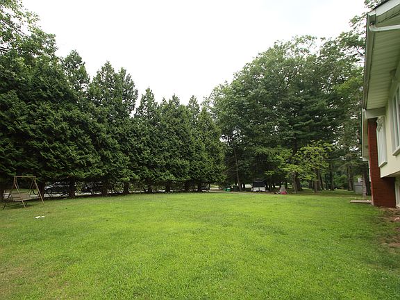 Front Yard/Privcy Evergreens