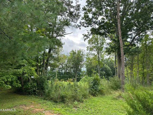 Woodvine St #109E-A-027.02, Jacksboro, TN 37757