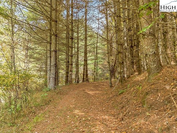 47th image of 886 Blevins Hollow Road