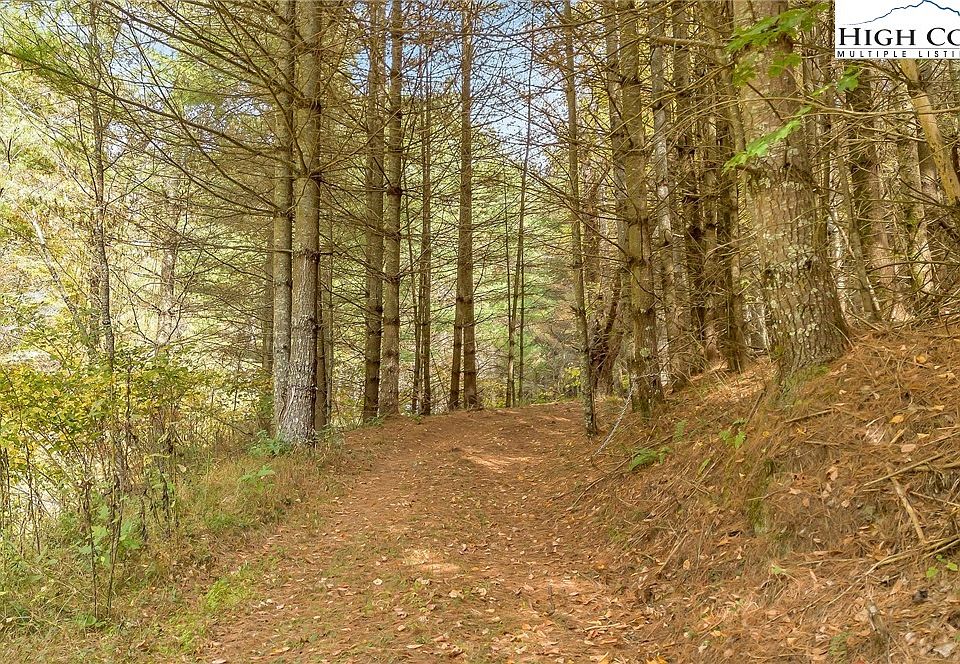 16th image of this home