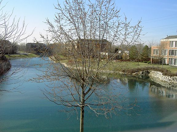View from main bedroom
