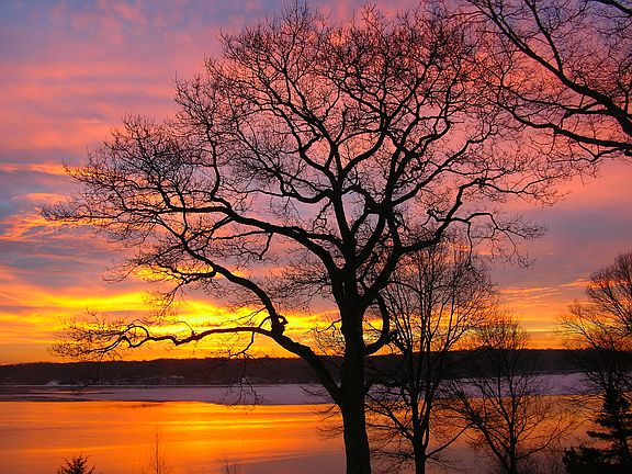 Sunrises at Serenity