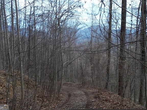 5th image of 0 Winding View Trl #17A