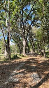SE 145th St LOT 3, Summerfield, FL, 34491