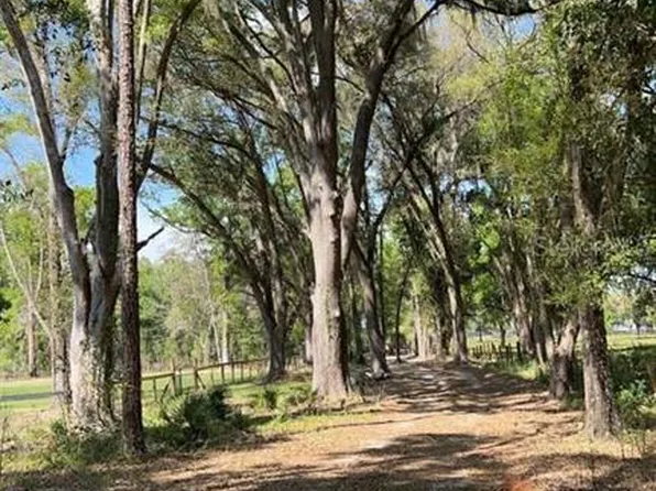 SE 145th St Lot 13, Summerfield, FL 34491